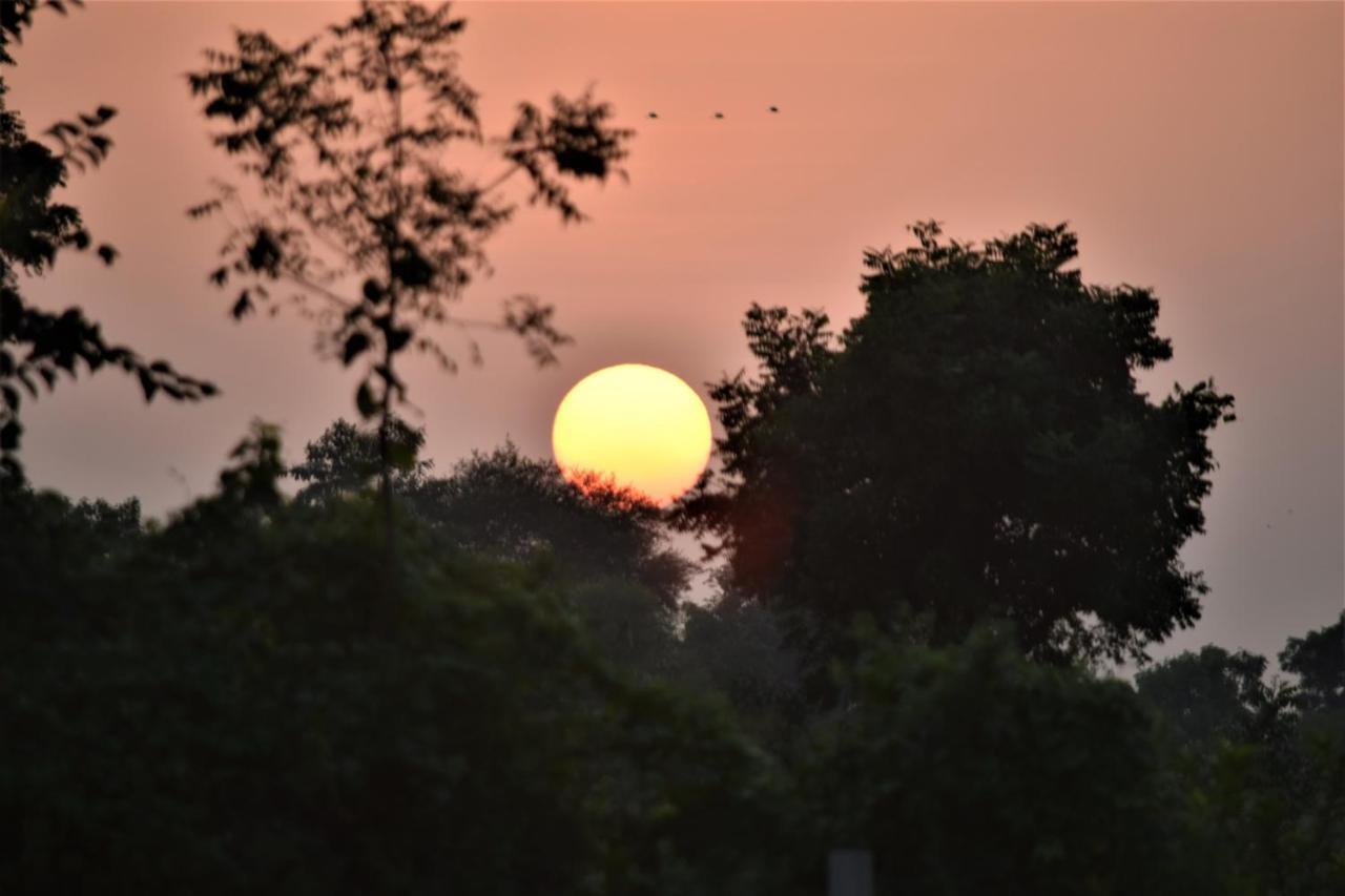 Ranthambhore Bagh Dwar Camp Khilchipur  Екстер'єр фото